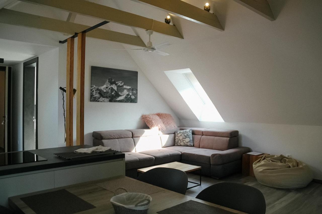 Residence Novak ボーヒニ エクステリア 写真